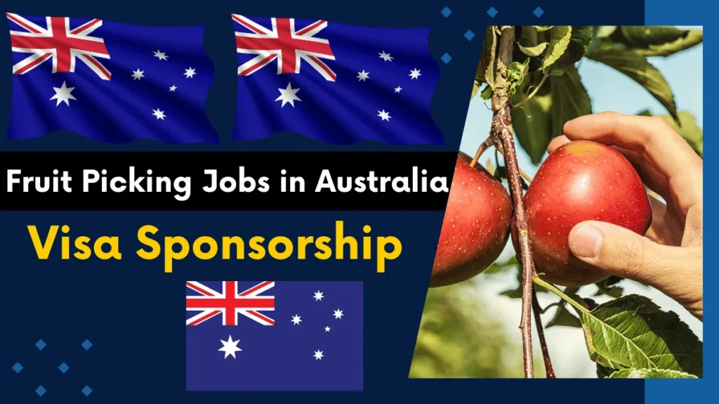 Australia Fruit Picking Jobs with Visa Sponsorship 2024- 2025 - Work In Australia Australia Fruit Picking Jobs with Visa Sponsorship