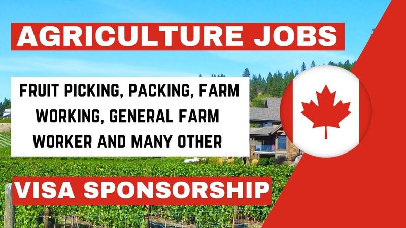 Visa Sponsorship Agriculture Jobs in Canada 2024/2025 CANADA-AGRICULTURE-JOBS