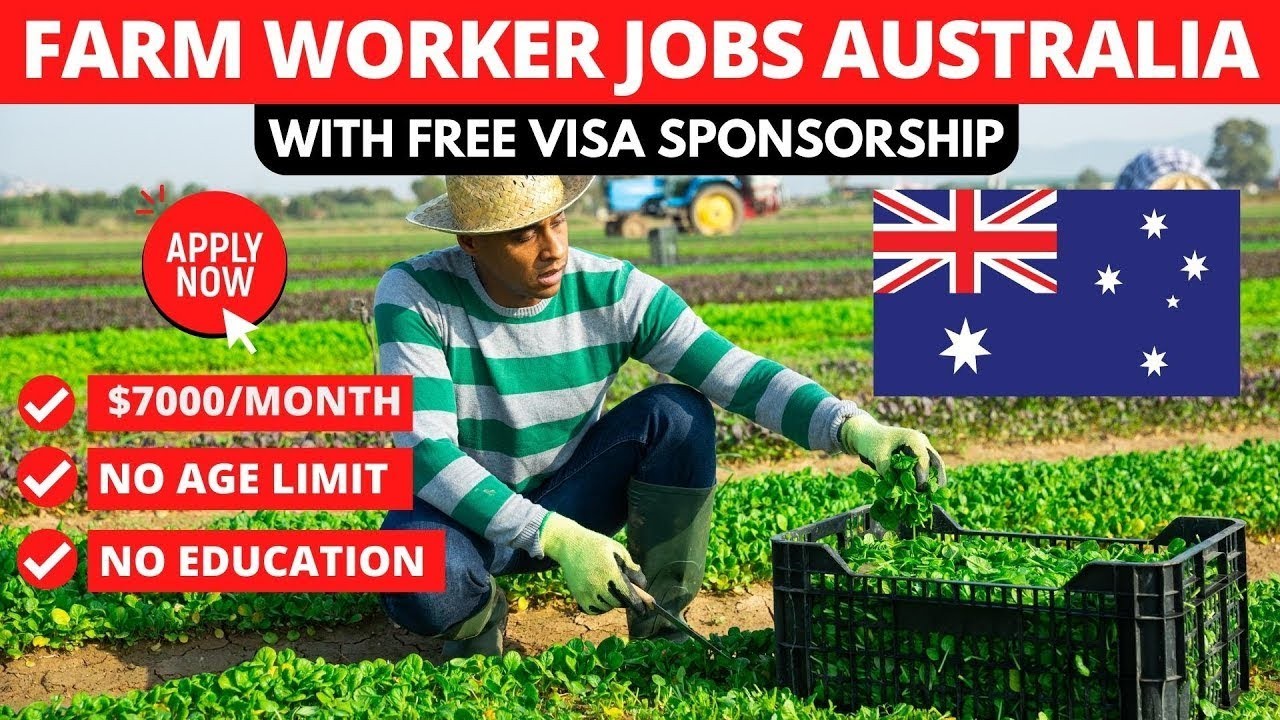 Full-Time Farm Workers Wanted in Australia for $70,000 Salary!