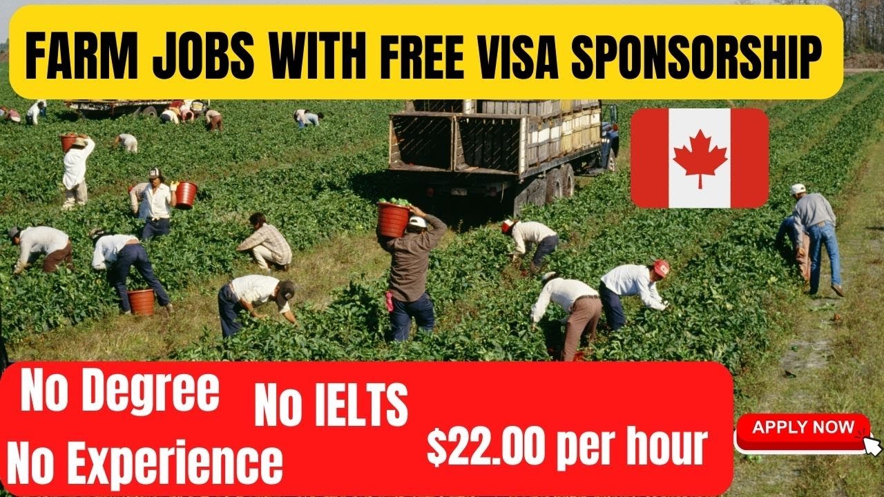 Visa Sponsorship Farm Working Jobs in Canada