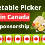 Vegetable-Picker-Jobs-in-Canada-with-Visa-Sponsorship-August-2024-32663-Per-Year-1024x580